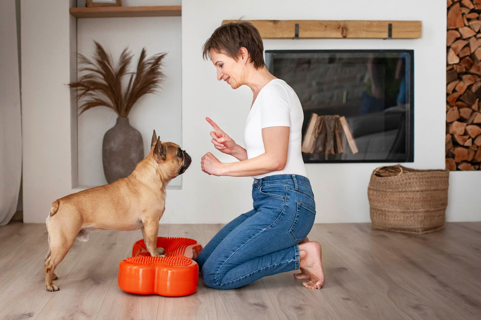 Kutya fizioterápia Budapesten - Spuri