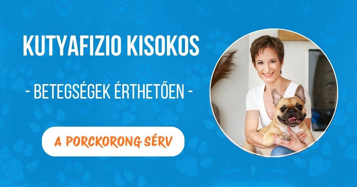 Mit jelent a porckorongsérv kutyáknál?